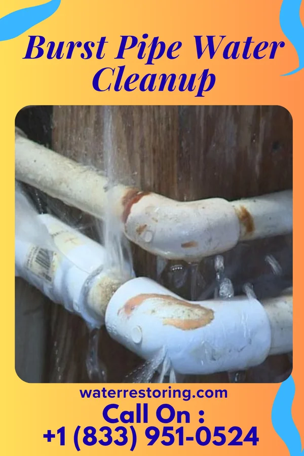 Burst Pipe Water Cleanup in Bay Harbor Islands, FL