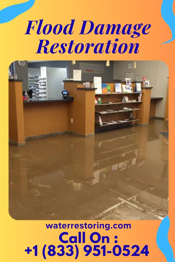 Flood Damage Restoration in Bay Harbor Islands, FL