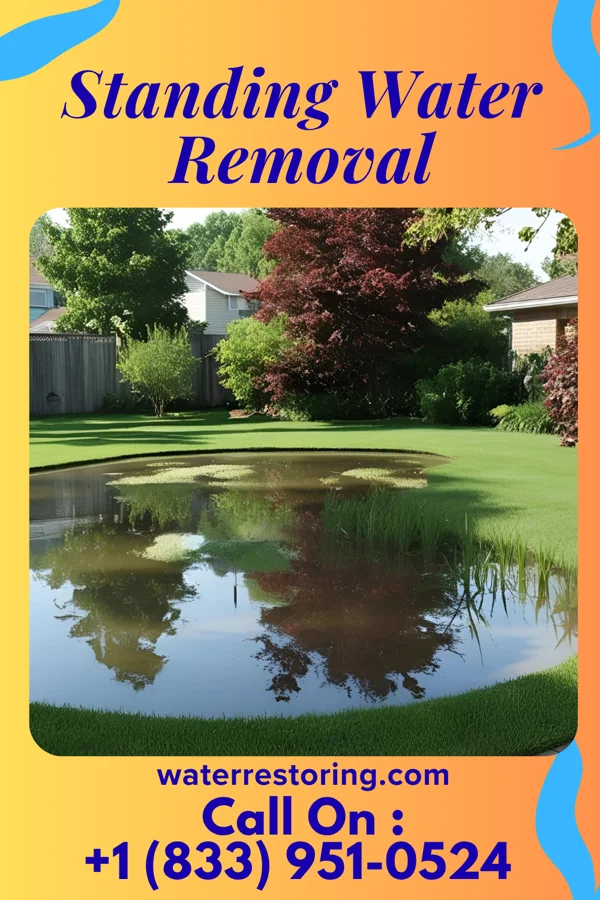 Standing Water Removal in Bay Harbor Islands, FL